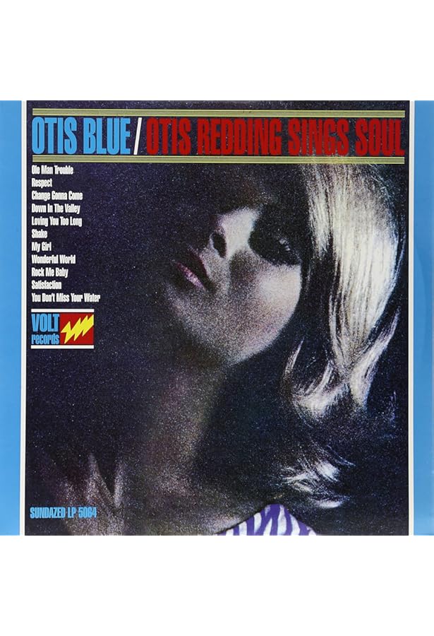 ドイツ盤LP OTIS REDDING THE DOG OF THE BAY REDDING,OTIS - The Dock of the Bay: The Definitive
